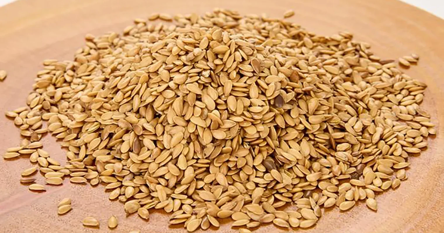 PRDI20250411143611A580201B001_700x700